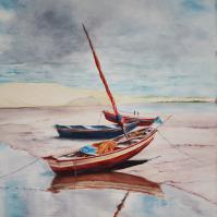 Barques Bresiliennes