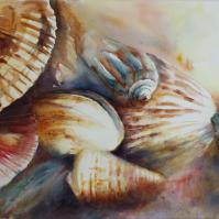 Coquillages arc en ciel