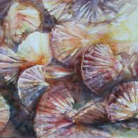Coquilles en éventail