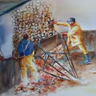 Pêche à la coquille ST-Jacques