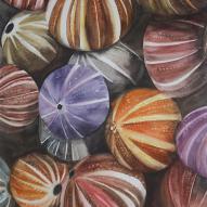 Couleurs d'oursins