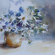 Eclats de marguerites