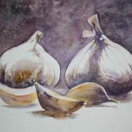 Gousses d'ail